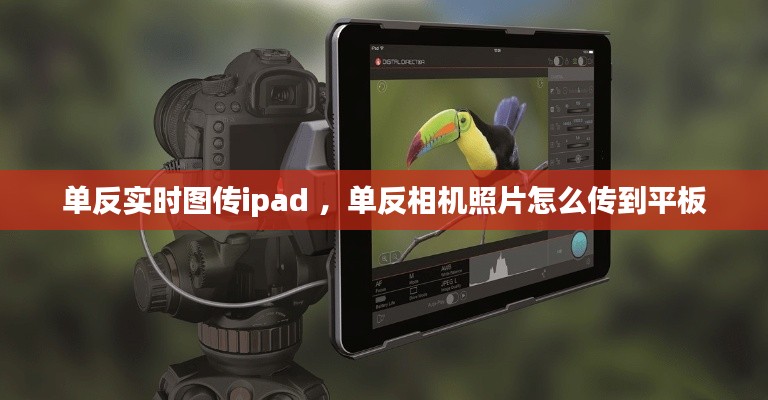 单反实时图传ipad ，单反相机照片怎么传到平板