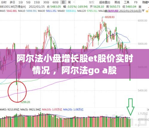 阿尔法小盘增长股et股价实时情况 ，阿尔法go a股