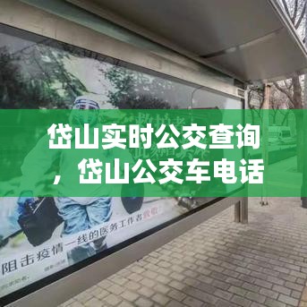 岱山实时公交查询 ，岱山公交车电话号码