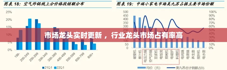 市场龙头实时更新 ，行业龙头市场占有率高