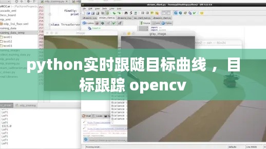 python实时跟随目标曲线 ，目标跟踪 opencv