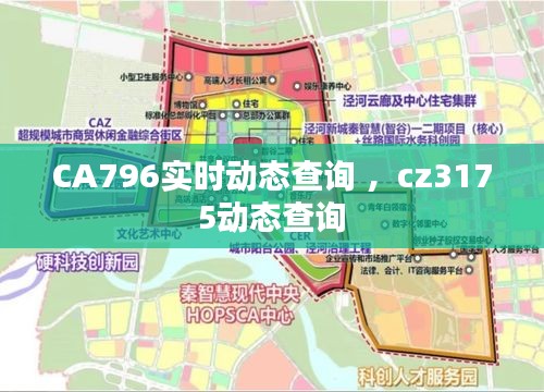 CA796实时动态查询 ，cz3175动态查询