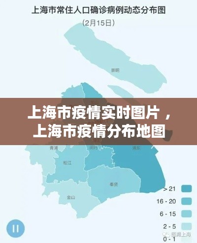 上海市疫情实时图片 ，上海市疫情分布地图