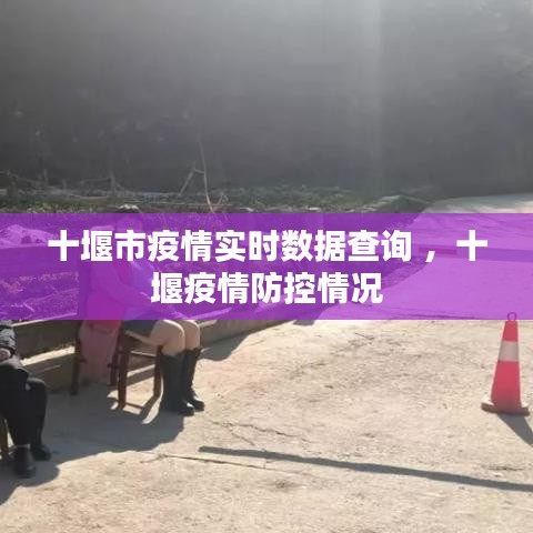 十堰市疫情实时数据查询 ，十堰疫情防控情况