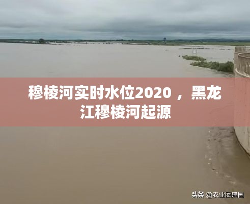 穆棱河实时水位2020 ，黑龙江穆棱河起源