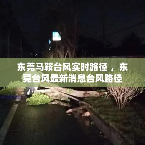 东莞马鞍台风实时路径 ，东莞台风最新消息台风路径