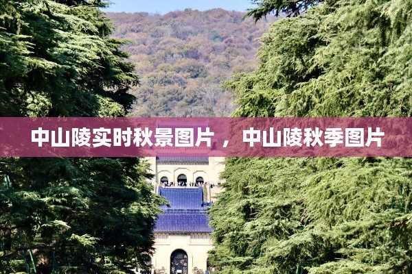 中山陵实时秋景图片 ，中山陵秋季图片