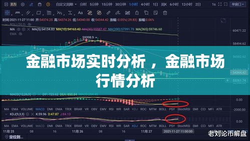 金融市场实时分析 ，金融市场行情分析