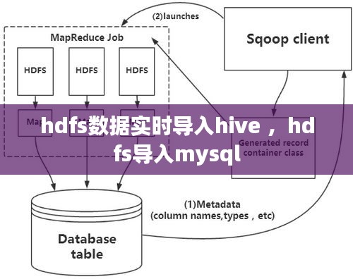 hdfs数据实时导入hive ，hdfs导入mysql