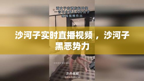 沙河子实时直播视频 ，沙河子黑恶势力