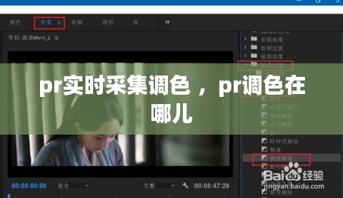 pr实时采集调色 ，pr调色在哪儿