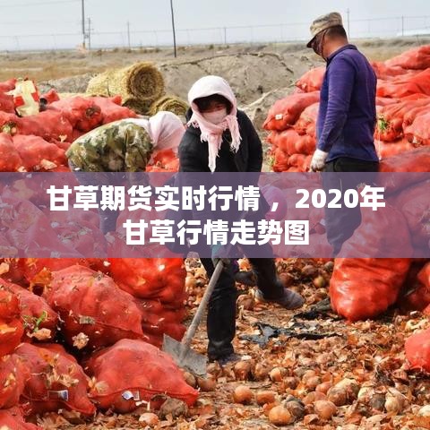 甘草期货实时行情 ，2020年甘草行情走势图