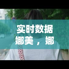 实时数据娜美 ，娜美最新情况