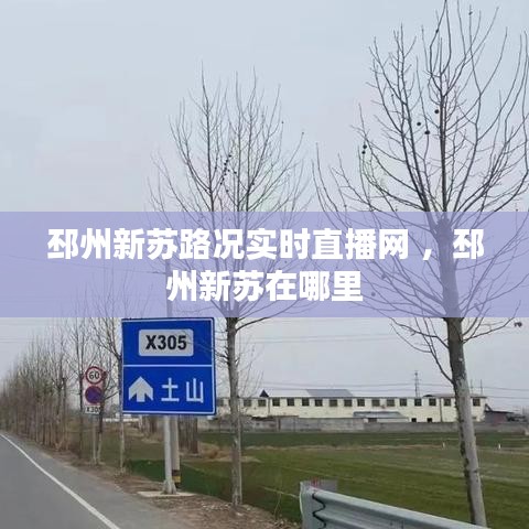 邳州新苏路况实时直播网 ，邳州新苏在哪里