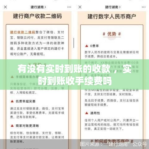 有没有实时到账的收款 ，实时到账收手续费吗