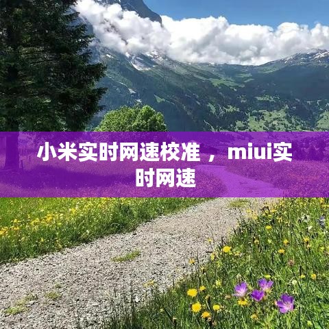 小米实时网速校准 ，miui实时网速