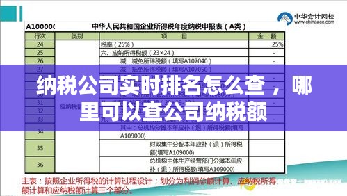 纳税公司实时排名怎么查 ，哪里可以查公司纳税额