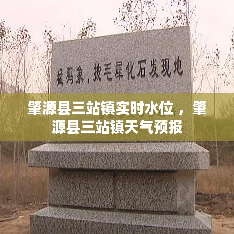 肇源县三站镇实时水位 ，肇源县三站镇天气预报