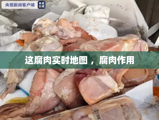 这腐肉实时地图 ，腐肉作用