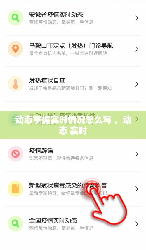 动态掌握实时情况怎么写 ，动态 实时
