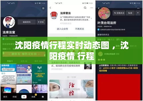 沈阳疫情行程实时动态图 ，沈阳疫情 行程