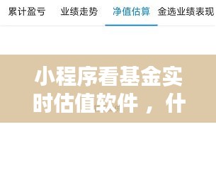 小程序看基金实时估值软件 ，什么软件查看基金实时估值