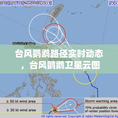 台风鹦鹉路径实时动态 ，台风鹦鹉卫星云图