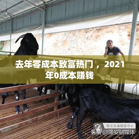 去年零成本致富热门 ，2021年0成本赚钱