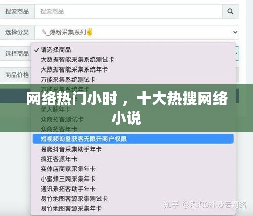 网络热门小时 ，十大热搜网络小说