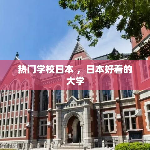 热门学校日本 ，日本好看的大学