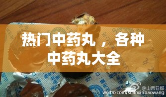 热门中药丸 ，各种中药丸大全