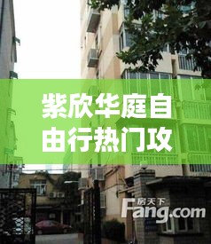 紫欣华庭自由行热门攻略 ，紫欣苑小区 户型图