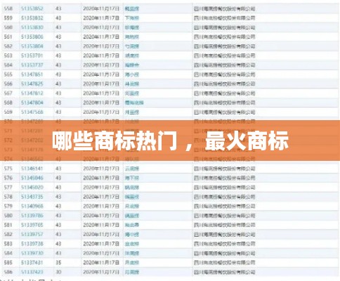 哪些商标热门 ，最火商标