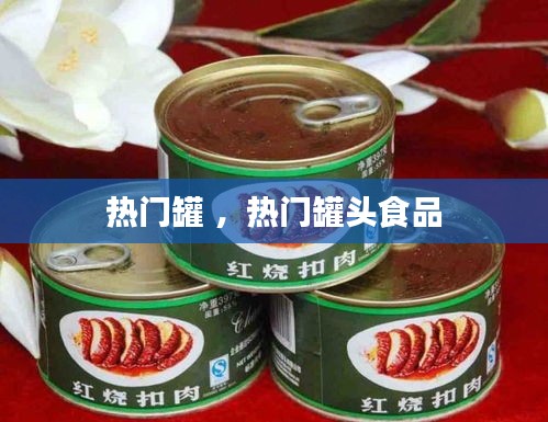 热门罐 ，热门罐头食品