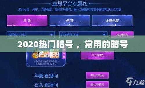 2020热门暗号 ，常用的暗号