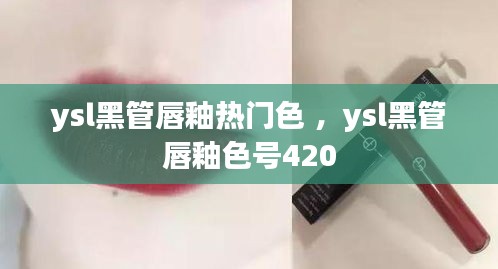 ysl黑管唇釉热门色 ，ysl黑管唇釉色号420