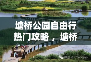 塘桥公园自由行热门攻略 ，塘桥怎么样