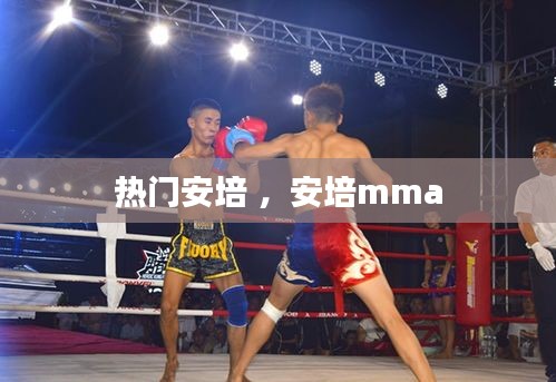 热门安培 ，安培mma