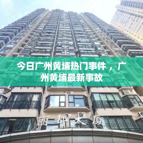 今日广州黄埔热门事件 ，广州黄埔最新事故