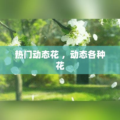 热门动态花 ，动态各种花