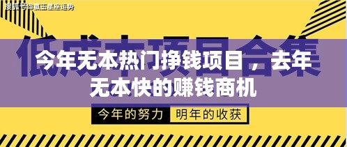 今年无本热门挣钱项目 ，去年无本快的赚钱商机