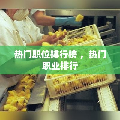 热门职位排行榜 ，热门职业排行