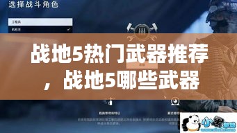 战地5热门武器推荐 ，战地5哪些武器值得买