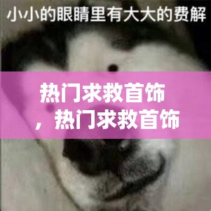 热门求救首饰 ，热门求救首饰设计