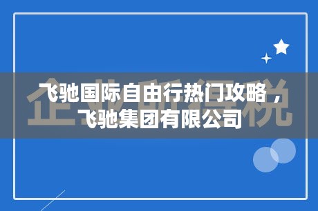 飞驰国际自由行热门攻略 ，飞驰集团有限公司