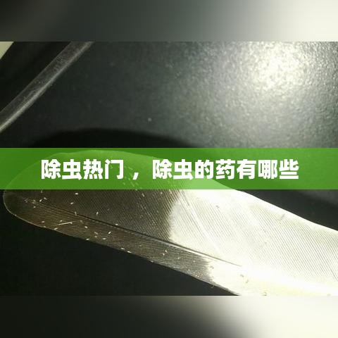 除虫热门 ，除虫的药有哪些