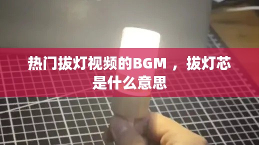 热门拔灯视频的BGM ，拔灯芯是什么意思