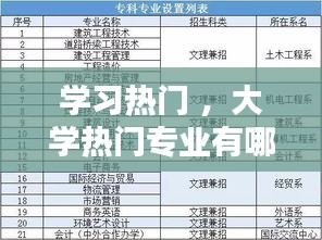 学习热门 ，大学热门专业有哪些