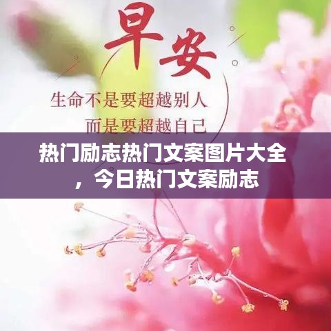 热门励志热门文案图片大全 ，今日热门文案励志