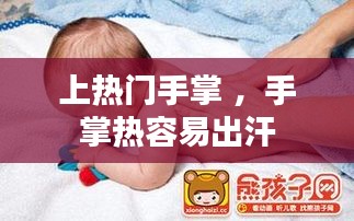 上热门手掌 ，手掌热容易出汗